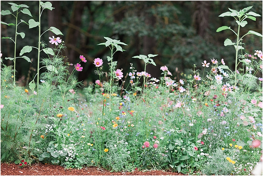 Wildflower-Backyard-Salem-Oregon-Wedding-by-Amanda-K-Photography0711-IMG_4513